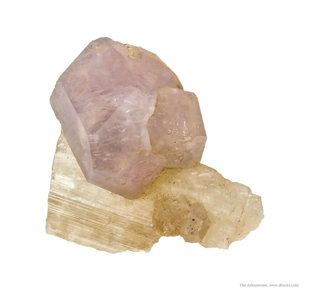 Sodalite Var. Hackmanite on Richterite image