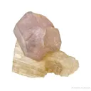 Sodalite Var. Hackmanite on Richterite - image 1