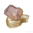 Sodalite Var. Hackmanite on Richterite - image 3