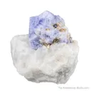 Sodalite var. Hackmanite (twinned) - image 3