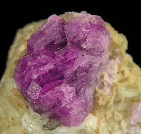 Sodalite (Var: Hackmanite), Winchite - image 2