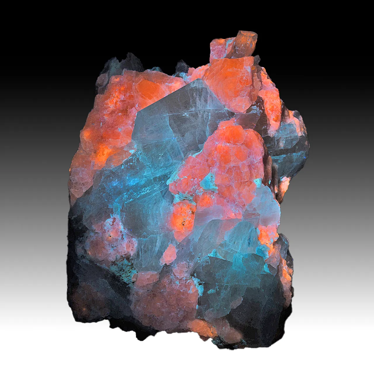 Sodalite with Winchite - image 2