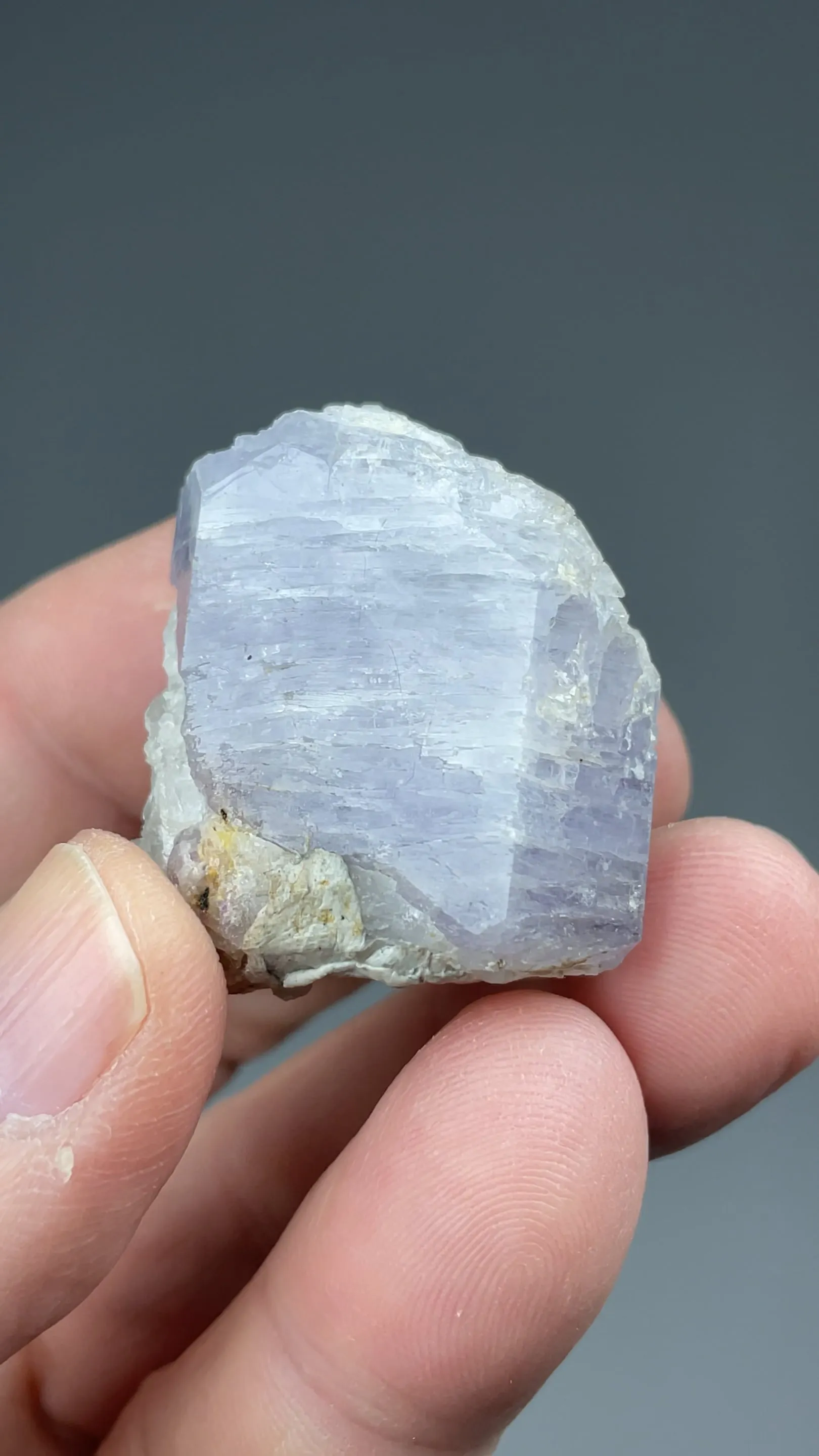 Sodalite with Winchite - image 2