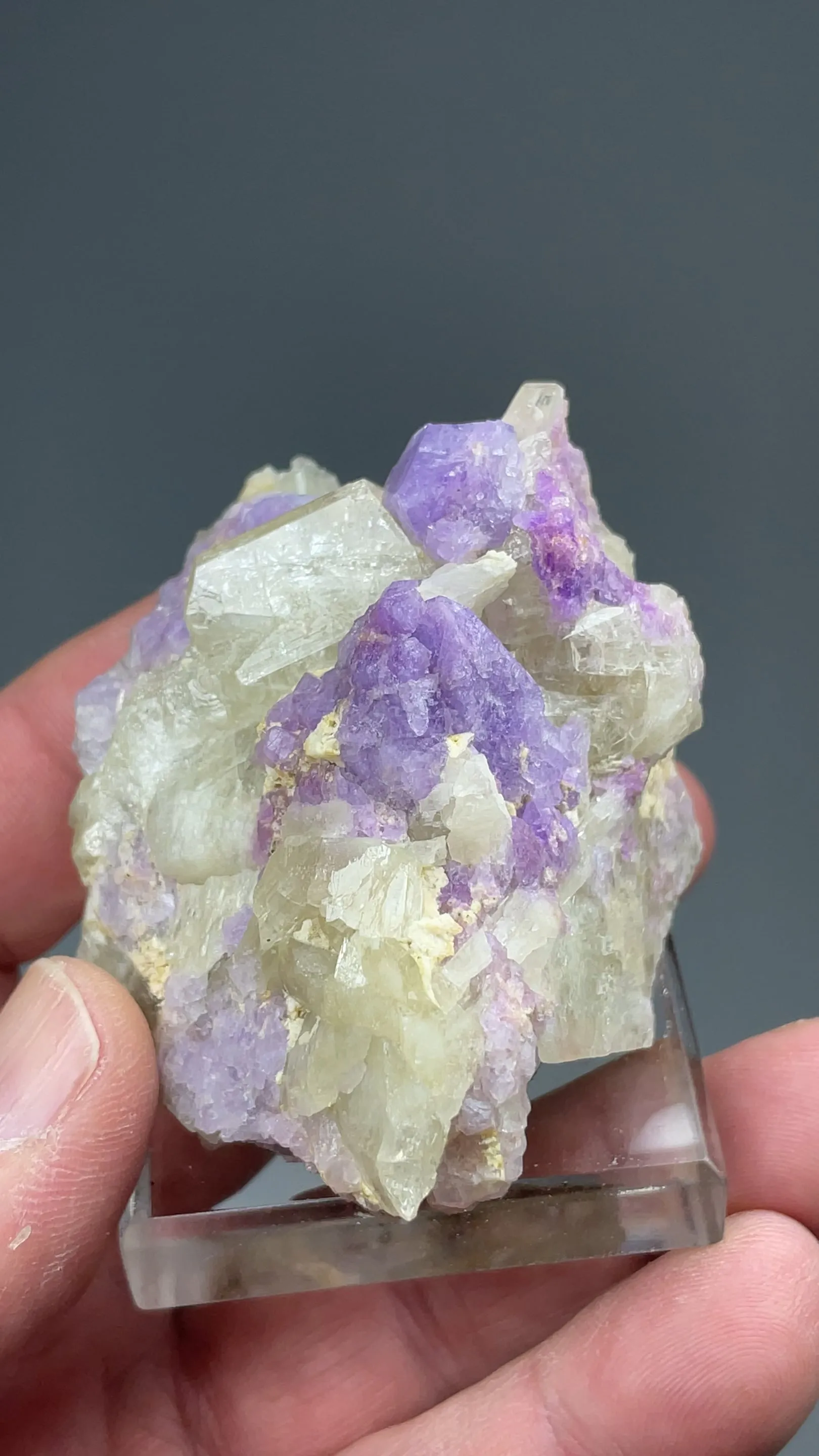 Sodalite with Winchite - image 3