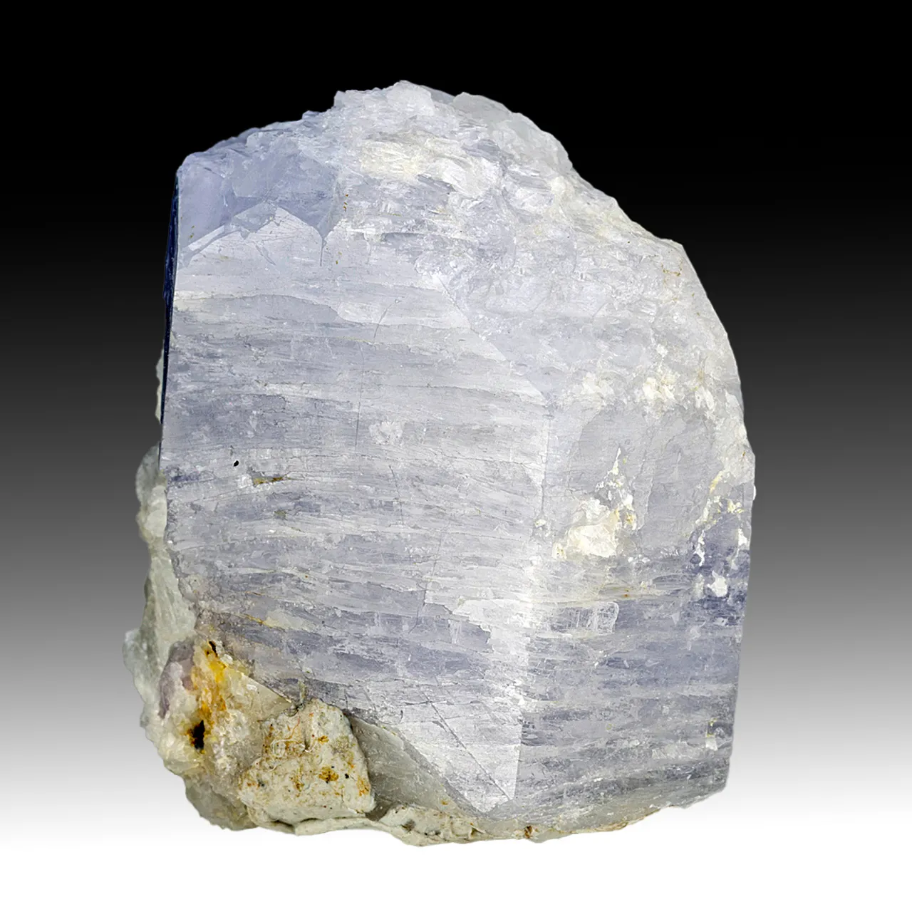Sodalite with Winchite - image 1