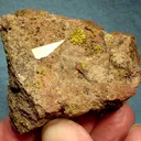 Soddyite - image 1