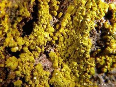 Soddyite - image 2