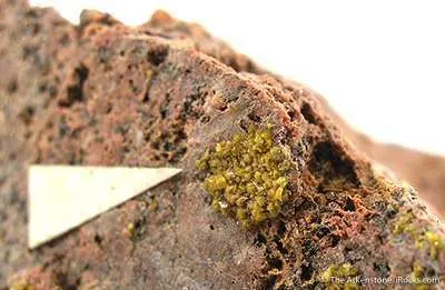 Soddyite - image 2