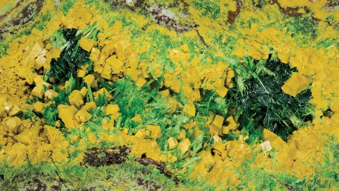 Soddyite, Cuprosklodowskite - image 1