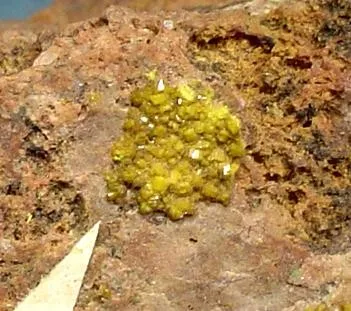Soddyite - image 2