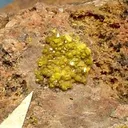 Soddyite - image 2