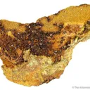 Soddyite With Swamboite - image 1