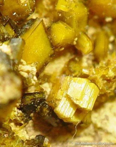 Soddyite With Swamboite - image 2