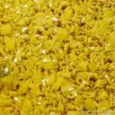 Soddyite With Swamboite - image 2