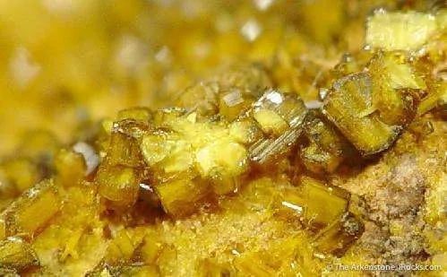 Soddyite With Swamboite - image 3