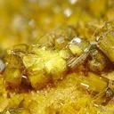 Soddyite With Swamboite - image 3