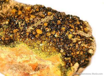 Soddyite With Swamboite - image 4