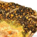 Soddyite With Swamboite - image 4