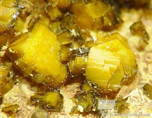 Soddyite With Swamboite image