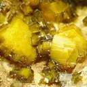 Soddyite With Swamboite - image 1