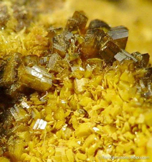 Soddyite With Swamboite - image 4