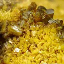 Soddyite With Swamboite - image 4