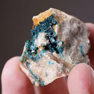 Spangolite with Brochantite