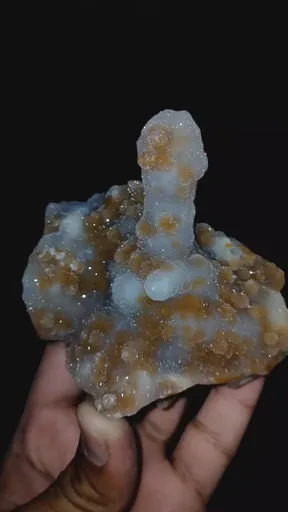 specimen video
