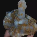 specimen video