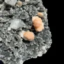 Sparkling Black Chalcedony Plate with Stilbite & Cubic Apophyllite – Rare Cabinet Mineral Specimen from Nashik - image 5