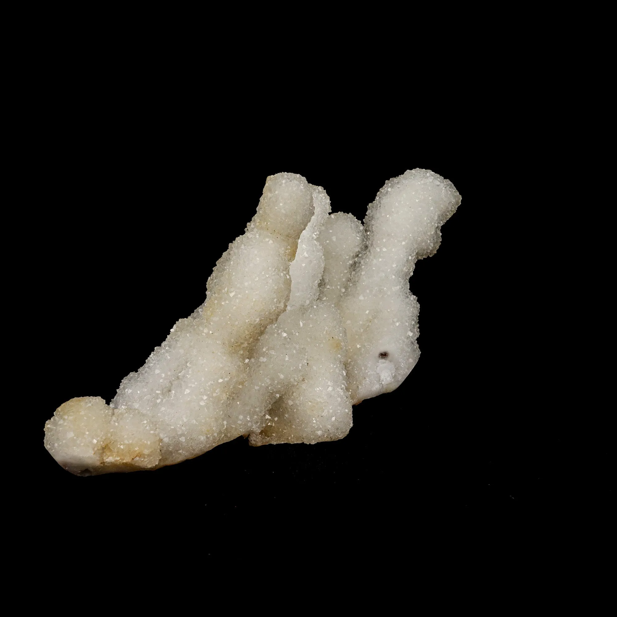 Sparkling MM Quartz Coral Formation Natural Mineral Specimen - image 3
