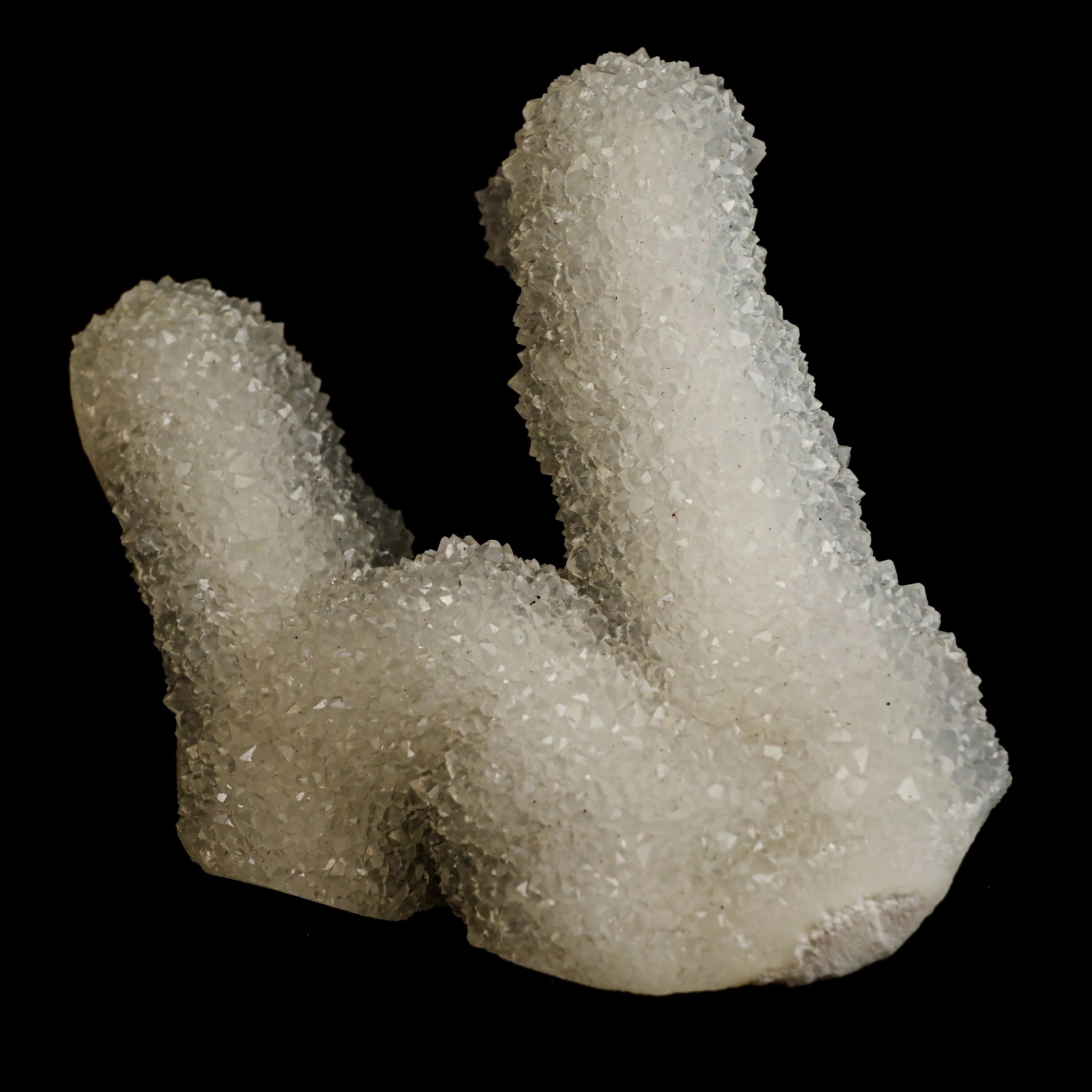 Sparkling MM Quartz Coral Formation Natural Mineral Specimen - image 3