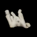 Sparkling MM Quartz Coral Formation Natural Mineral Specimen - image 4