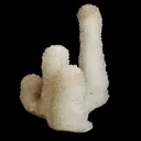 Sparkling MM Quartz Coral Formation Natural Mineral Specimen - image 3