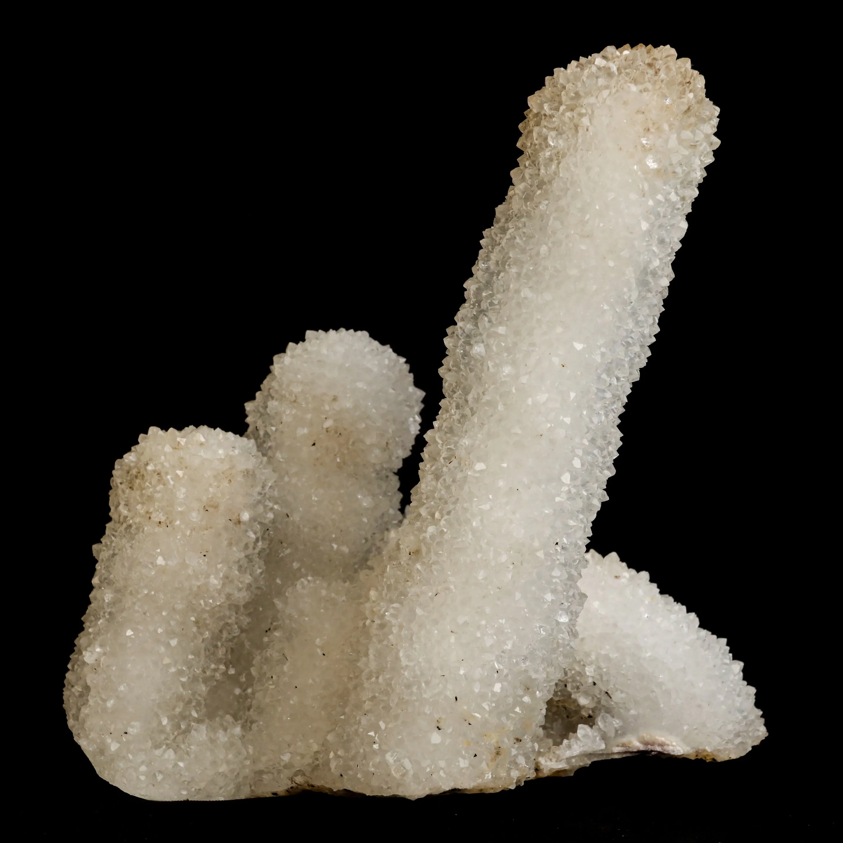 Sparkling MM Quartz Coral Formation Natural Mineral Specimen - image 4
