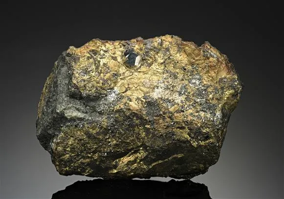 Sperrylite in Chalcopyrite image