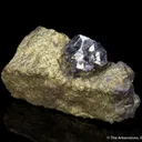 Sperrylite on Chalcopyrite - image 2
