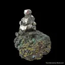Sperrylite on Chalcopyrite - image 1