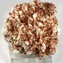 Spessartine, Albite - image 1