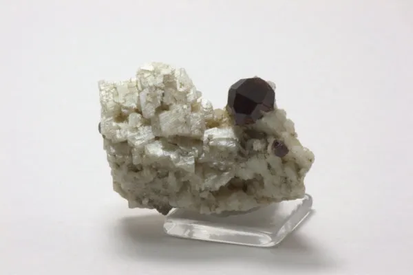 Spessartine, Albite - image 2