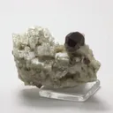 Spessartine, Albite - image 2