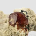 Spessartine and Schorl on Feldspar - image 5
