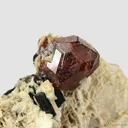 Spessartine and Schorl on Feldspar - image 4
