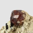 Spessartine and Schorl on Feldspar - image 1