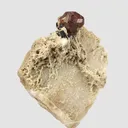 Spessartine and Schorl on Feldspar - image 2