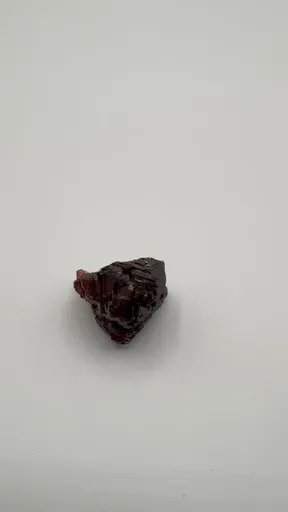 specimen video