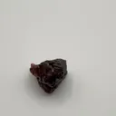 specimen video