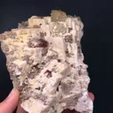 specimen video