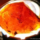 Spessartine Garnet - image 5