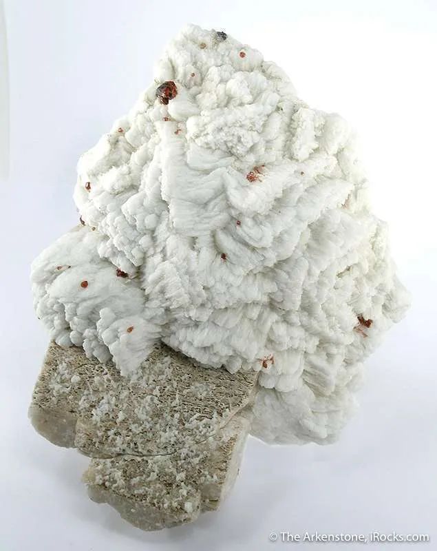 Spessartine Garnet, Albite on Microcline Feldspar image